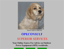 Tablet Screenshot of opeconsult.com